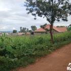 Land at Zindiro, Kigali